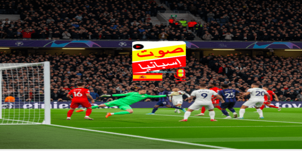 فوز البرتغال علي اسبانيا