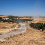 Extreme heat in Andalusia during a period of high temperatures