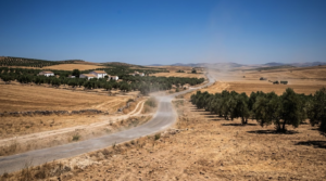 Extreme heat in Andalusia during a period of high temperatures