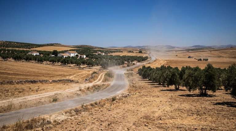 Extreme heat in Andalusia during a period of high temperatures